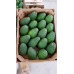 Pallet Aguacate Hass 960kg Pallet Aguacate Hass 960kg