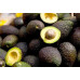 Pallet Aguacate Hass 960kg Pallet Aguacate Hass 960kg