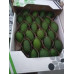 Pallet Feijoa 800kg Pallet Feijoa 800kg