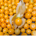 Pallet Golden Berry Pallet Golden Berry