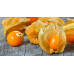 Pallet Golden Berry Pallet Golden Berry