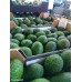 Pallet Aguacate Hass 960kg Pallet Aguacate Hass 960kg