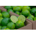 Pallet Limón Tahití (lime) 1000kg Pallet Limón Tahití (lime) 1000kg