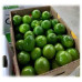 Pallet Limón Tahití (lime) 1000kg Pallet Limón Tahití (lime) 1000kg