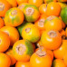 Palet Lulo (Naranjilla) 800kg Palet Lulo (Naranjilla) 800kg