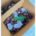 Pallet Mangosteen 800kg