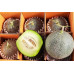 Pallet Melón 1000Kg Pallet Melón 1000Kg