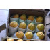 Pallet Papaya 1000 kg Pallet Papaya 1000 kg