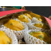 Pallet Pitahaya amarilla 500kg Pallet Pitahaya amarilla 500kg
