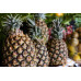 Pallet Piña (Golden / MD2) 1000kg Pallet Piña (Golden / MD2) 1000kg