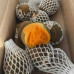 Pallet Sapote (Zapote) – 800kg Pallet Sapote (Zapote) – 800kg