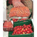Pallet Tamarillo (Tomate de árbol) 800kg