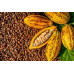 Pallet Cacao beans 1000kg Pallet Cacao beans 1000kg