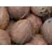 Palet Coconut 1000kg