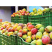 Pallet Mango Kent 1000kg