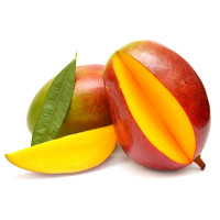 Pallet Mango Kent 1000kg Pallet Mango Kent 1000kg