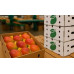 Pallet Mango Kent 1000kg